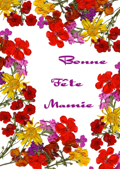  Carte  Fleurs 1 Bonne  F te Mamie  Envoyer une Carte  F te 